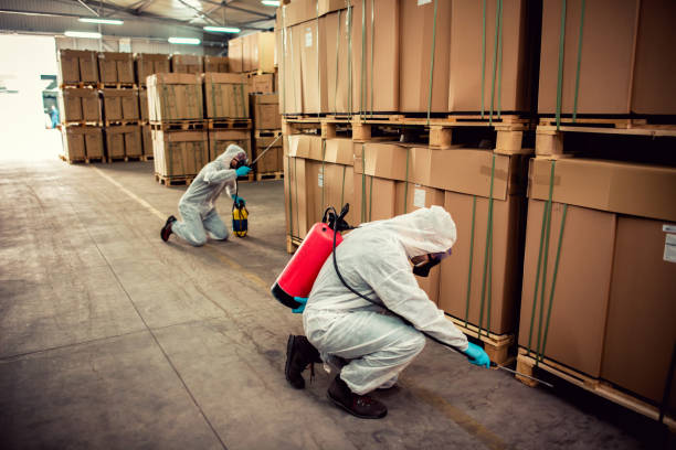 Best Local Pest Control Services  in Luverne, AL