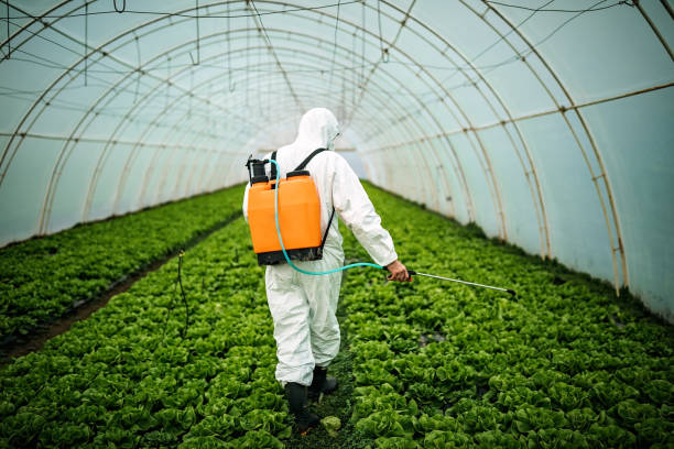 Best Pest Inspection Near Me  in Luverne, AL