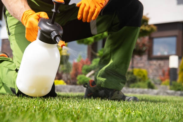 Flea Control Services in Luverne, AL