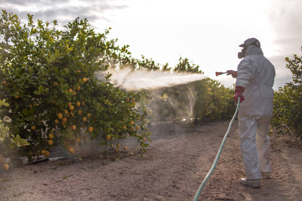 Pest Control Cost in Luverne, AL