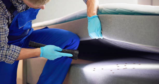 Best Mosquito Control Services  in Luverne, AL