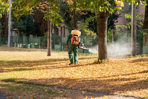 Best Flea Control Services  in Luverne, AL