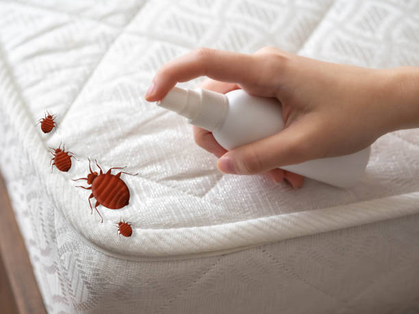 Best Bed Bug Extermination  in Luverne, AL