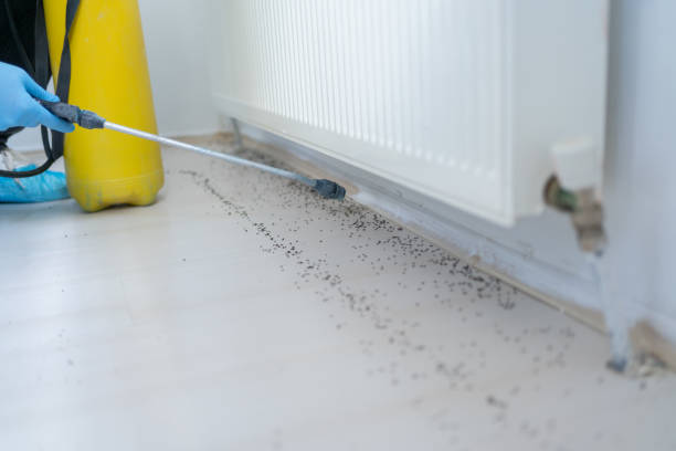 Best Rat Extermination Near Me  in Luverne, AL
