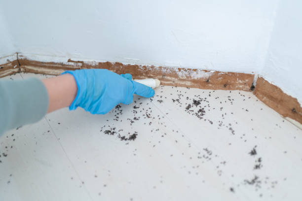 Best Commercial Pest Control Services  in Luverne, AL