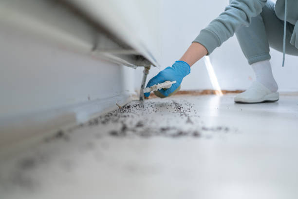 Best Best Pest Control Companies  in Luverne, AL