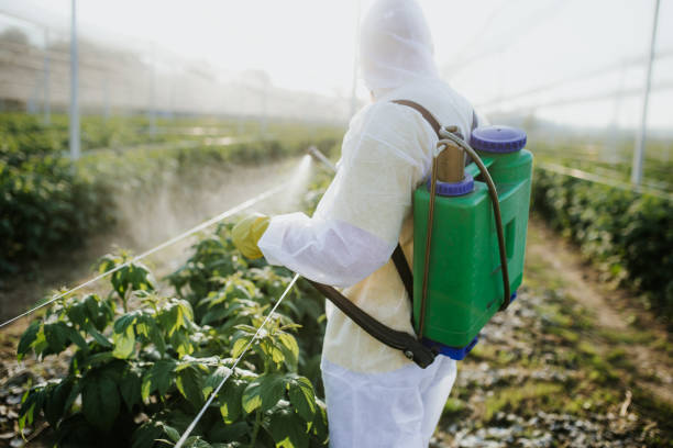 Best Exterminator Services  in Luverne, AL